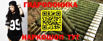 мдпв Аша